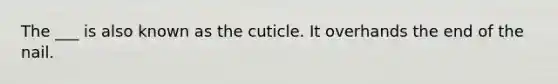 The ___ is also known as the cuticle. It overhands the end of the nail.