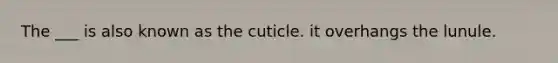 The ___ is also known as the cuticle. it overhangs the lunule.