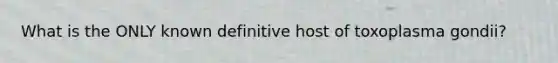 What is the ONLY known definitive host of toxoplasma gondii?