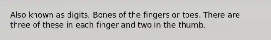 Also known as digits. Bones of the fingers or toes. There are three of these in each finger and two in the thumb.