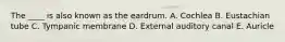 The ____ is also known as the eardrum. A. Cochlea B. Eustachian tube C. Tympanic membrane D. External auditory canal E. Auricle