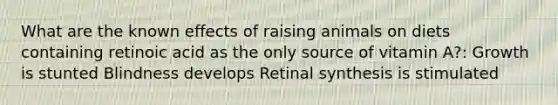 What are the known effects of raising animals on diets containing retinoic acid as the only source of vitamin A?: Growth is stunted Blindness develops Retinal synthesis is stimulated