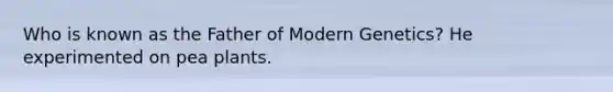 Who is known as the Father of Modern Genetics? He experimented on pea plants.