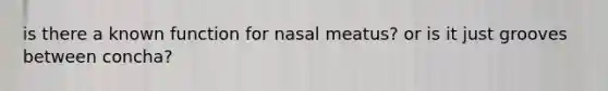 is there a known function for nasal meatus? or is it just grooves between concha?