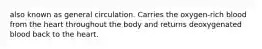 also known as general circulation. Carries the oxygen-rich blood from the heart throughout the body and returns deoxygenated blood back to the heart.