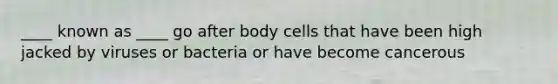 ____ known as ____ go after body cells that have been high jacked by viruses or bacteria or have become cancerous