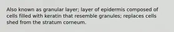 Also known as granular layer; layer of epidermis composed of cells filled with keratin that resemble granules; replaces cells shed from the stratum corneum.