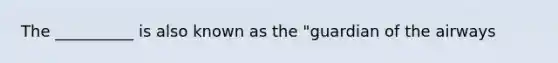 The __________ is also known as the "guardian of the airways