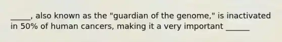 _____, also known as the "guardian of the genome," is inactivated in 50% of human cancers, making it a very important ______