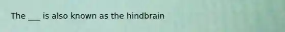 The ___ is also known as the hindbrain