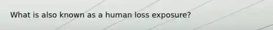 What is also known as a human loss exposure?