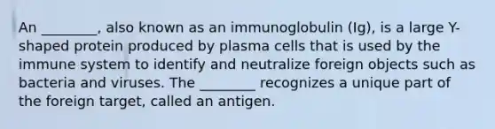 An ________, also known as an immunoglobulin (Ig), is a large Y-shaped protein produced by plasma cells that is used by the immune system to identify and neutralize foreign objects such as bacteria and viruses. The ________ recognizes a unique part of the foreign target, called an antigen.