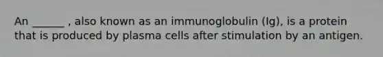 An ______ , also known as an immunoglobulin (Ig), is a protein that is produced by plasma cells after stimulation by an antigen.