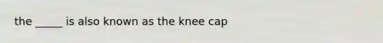 the _____ is also known as the knee cap