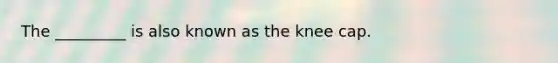 The _________ is also known as the knee cap.