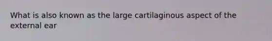 What is also known as the large cartilaginous aspect of the external ear