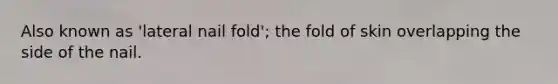 Also known as 'lateral nail fold'; the fold of skin overlapping the side of the nail.
