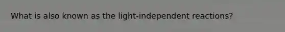 What is also known as the light-independent reactions?