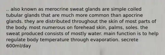 .. also known as merocrine sweat glands are simple coiled tubular glands that are much more common than apocrine glands. they are distributed throughout the skin of most parts of the body. most numerous on forehead skin, palms, soles. the sweat produced consists of mostly water. main function is to help regulate body temperature through evaporation. secrete 600ml/day