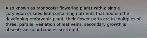 Also known as monocots; flowering plants with a single cotyledon or seed leaf containing nutrients that nourish the developing embryonic plant; their flower parts are in multiples of three; parallel veination of leaf veins; secondary growth is absent; vascular bundles scattered