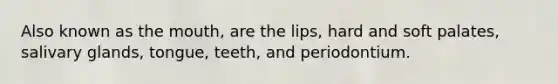 Also known as the mouth, are the lips, hard and soft palates, salivary glands, tongue, teeth, and periodontium.