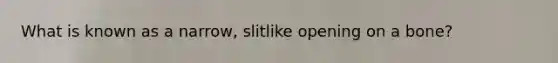 What is known as a narrow, slitlike opening on a bone?