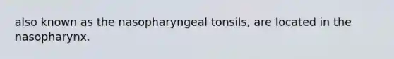 also known as the nasopharyngeal tonsils, are located in the nasopharynx.