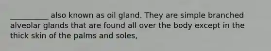 __________ also known as oil gland. They are simple branched alveolar glands that are found all over the body except in the thick skin of the palms and soles,