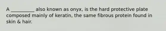 A __________ also known as onyx, is the hard protective plate composed mainly of keratin, the same fibrous protein found in skin & hair.