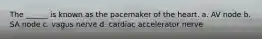 The ______ is known as the pacemaker of the heart. a. AV node b. SA node c. vagus nerve d. cardiac accelerator nerve