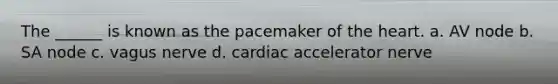 The ______ is known as the pacemaker of the heart. a. AV node b. SA node c. vagus nerve d. cardiac accelerator nerve