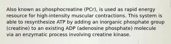 Also known as phosphocreatine (PCr), is used as rapid energy resource for high-intensity muscular contractions. This system is able to resynthesize ATP by adding an inorganic phosphate group (creatine) to an existing ADP (adenosine phosphate) molecule via an enzymatic process involving creatine kinase.