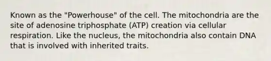 Known as the "Powerhouse" of the cell. The mitochondria are the site of adenosine triphosphate (ATP) creation via cellular respiration. Like the nucleus, the mitochondria also contain DNA that is involved with inherited traits.​