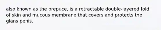 also known as the prepuce, is a retractable double-layered fold of skin and mucous membrane that covers and protects the glans penis.