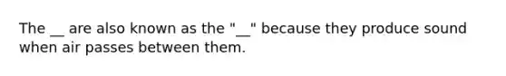 The __ are also known as the "__" because they produce sound when air passes between them.