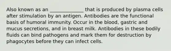 Also known as an ______________ that is produced by plasma cells after stimulation by an antigen. Antibodies are the functional basis of humoral immunity. Occur in the blood, gastric and mucus secretions, and in breast milk. Antibodies in these bodily fluids can bind pathogens and mark them for destruction by phagocytes before they can infect cells.