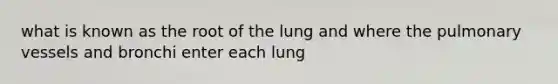 what is known as the root of the lung and where the pulmonary vessels and bronchi enter each lung