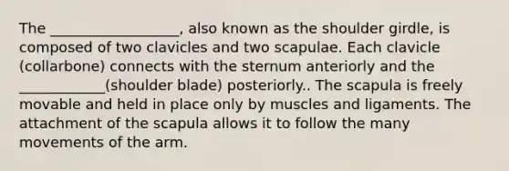 The __________________, also known as the shoulder girdle, is composed of two clavicles and two scapulae. Each clavicle (collarbone) connects with the sternum anteriorly and the ____________(shoulder blade) posteriorly.. The scapula is freely movable and held in place only by muscles and ligaments. The attachment of the scapula allows it to follow the many movements of the arm.