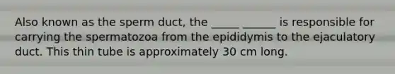 Also known as the sperm duct, the _____ ______ is responsible for carrying the spermatozoa from the epididymis to the ejaculatory duct. This thin tube is approximately 30 cm long.