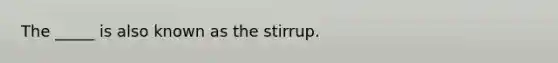 The _____ is also known as the stirrup.