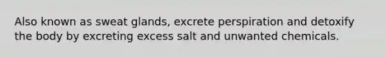 Also known as sweat glands, excrete perspiration and detoxify the body by excreting excess salt and unwanted chemicals.