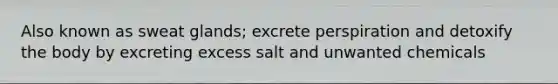 Also known as sweat glands; excrete perspiration and detoxify the body by excreting excess salt and unwanted chemicals