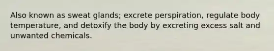 Also known as sweat glands; excrete perspiration, regulate body temperature, and detoxify the body by excreting excess salt and unwanted chemicals.