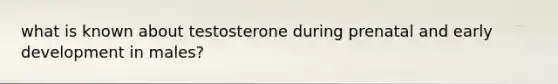 what is known about testosterone during prenatal and early development in males?