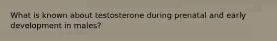 What is known about testosterone during prenatal and early development in males?