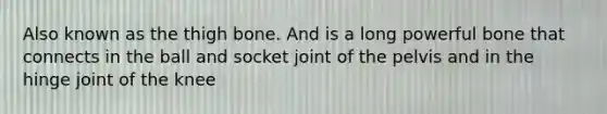 Also known as the thigh bone. And is a long powerful bone that connects in the ball and socket joint of the pelvis and in the hinge joint of the knee