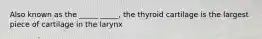 Also known as the _____ _____, the thyroid cartilage is the largest piece of cartilage in the larynx