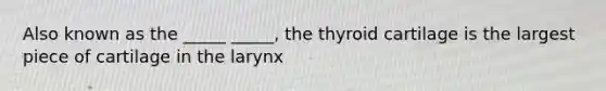 Also known as the _____ _____, the thyroid cartilage is the largest piece of cartilage in the larynx