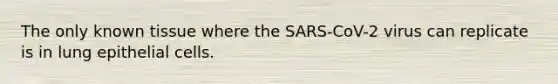 The only known tissue where the SARS-CoV-2 virus can replicate is in lung epithelial cells.