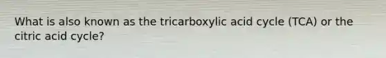 What is also known as the tricarboxylic acid cycle (TCA) or the citric acid cycle?